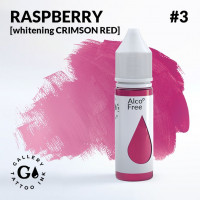 RASPBERRY GALLERY TATTOO INK, 30мл RASPBERRY GALLERY TATTOO INK, 30мл