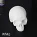 Силиконовый череп для тату практики YILONG Skull Tattoo Practice Silicone White