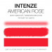American Rose Intenze (США 1 oz - 30 мл)