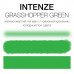 GRASSHOPPER GREEN INTENZE (США 1 OZ - 30 МЛ.)